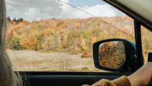 Autumn Behind The Steering Wheel: The Season That Brings Car Problems to Light
