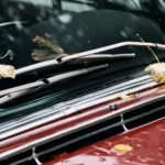 Autumn Behind The Steering Wheel: The Season That Brings Car Problems to Light