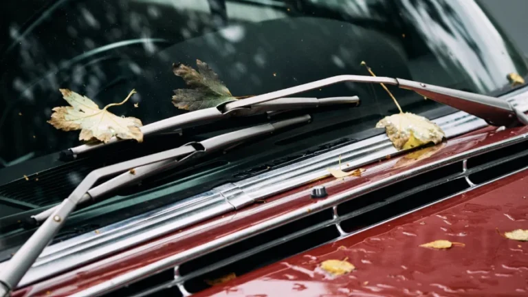 Autumn Behind The Steering Wheel: The Season That Brings Car Problems to Light